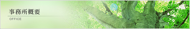 事務所概要
